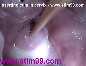 Interpolate goo cum in cervix anent flourishing pussy reflector